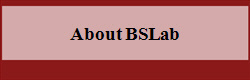 About BSLab